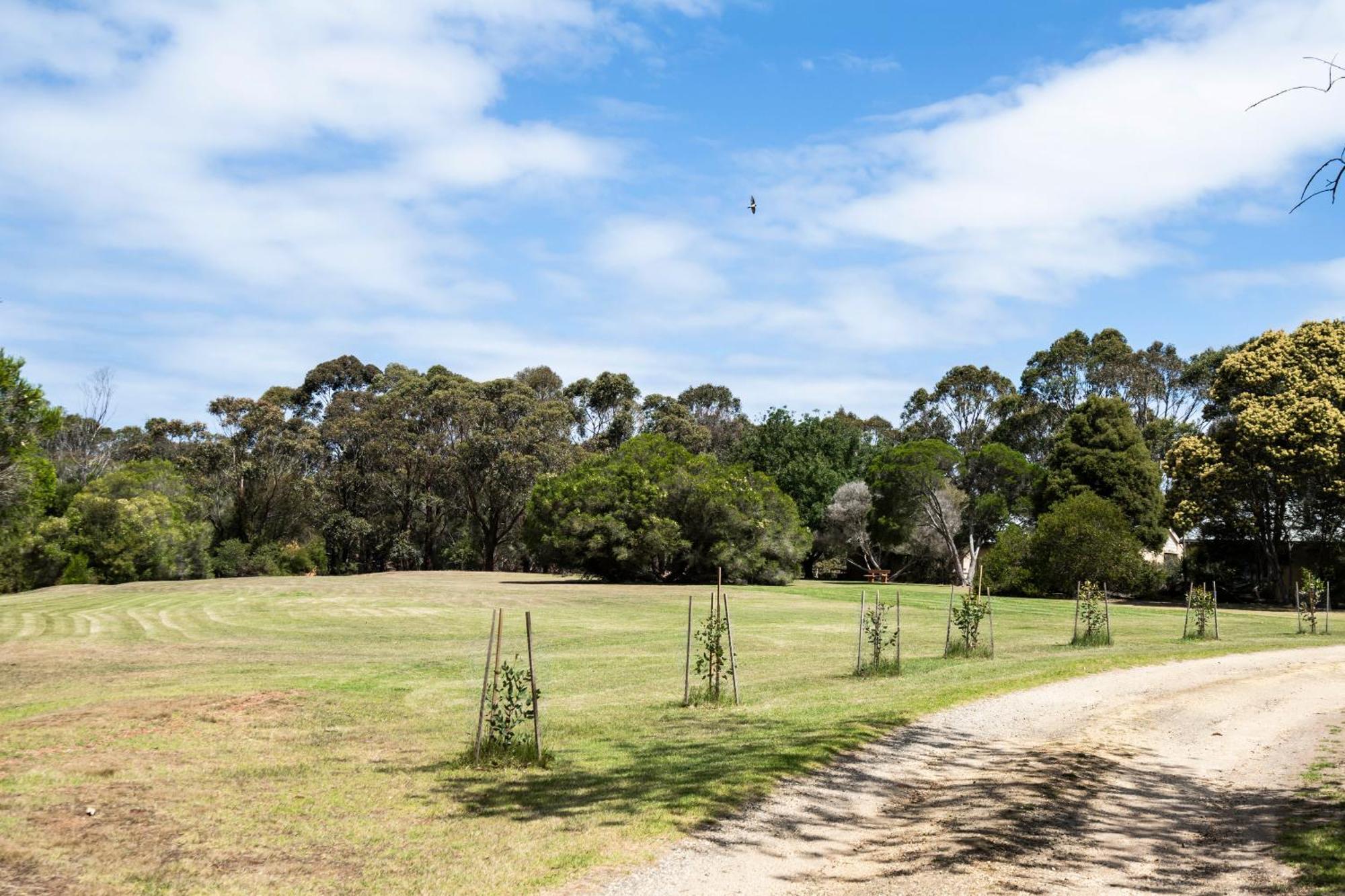 Bells Beach Cottages Bellbrae Exterior photo